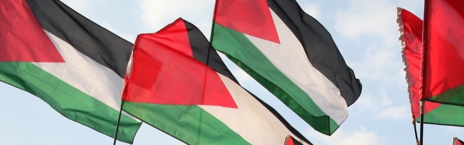 PSC Conference - Lessons from Gaza: transforming public support into political action on Palestine
