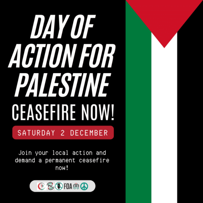 Day of Action for Palestine