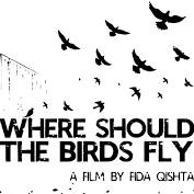 Film screening: Where should the birds fly